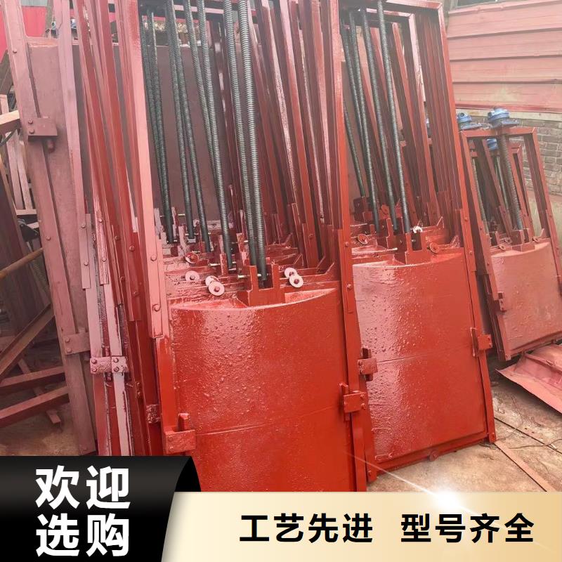 大庆水库铸铁镶铜闸门诚信经营