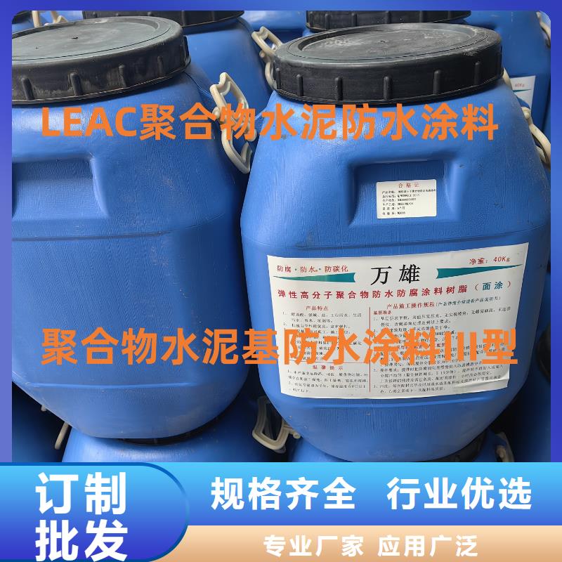 MEA-II型混凝土结构防腐防水涂料实拍品质保障厂家供应环氧水泥改性聚合物防水防腐涂料