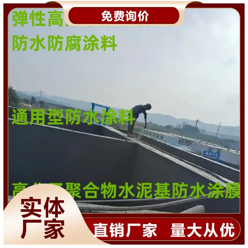 弹性高分子聚合物防水防腐涂料匠心工艺货源弹性高分子聚合物防水防腐涂料