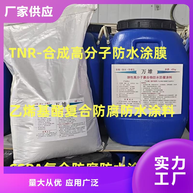 乙烯基酯混凝土结构防腐防水涂料客户信赖的行业优选渗透性改性树脂防腐涂料
