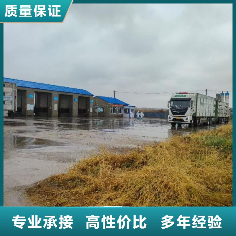 秦淮到农牧运输空调车技术精湛