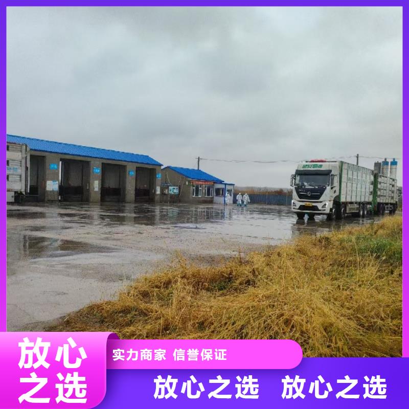 宿迁到农牧物流贴心服务