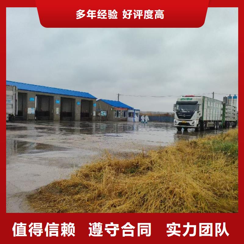 广陵到活禽运输空调车透明