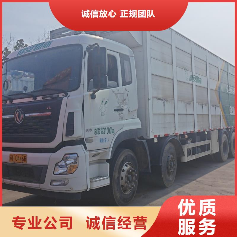 常州到仔猪运输恒温车高性价比