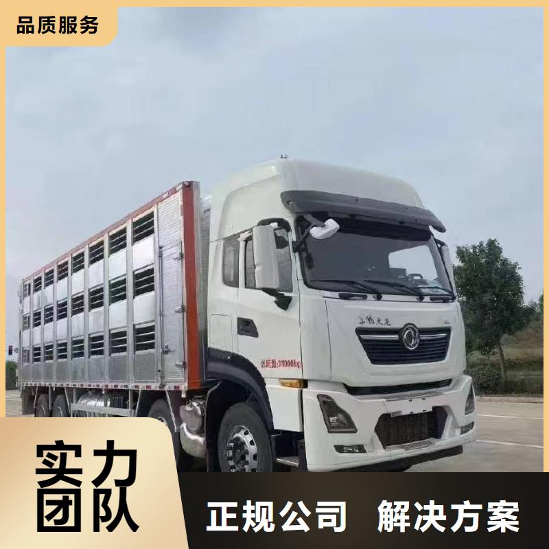 宿迁市沭阳到猪只运输专用车-恒温车好评度高