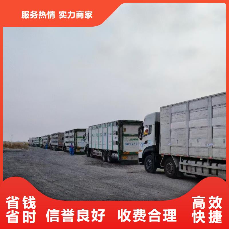 日照到牛运输专用车平稳