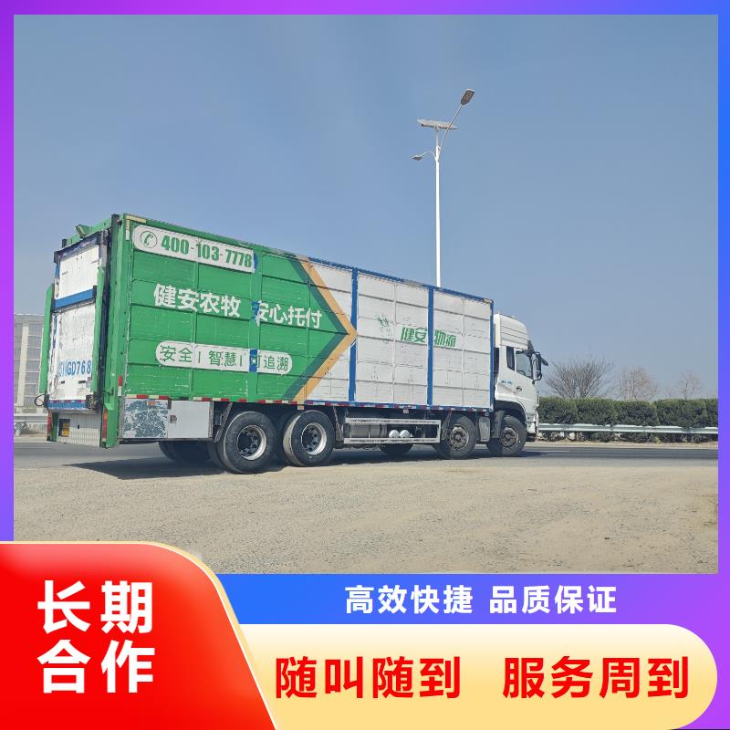东营至猪牛羊运输空调车优质服务