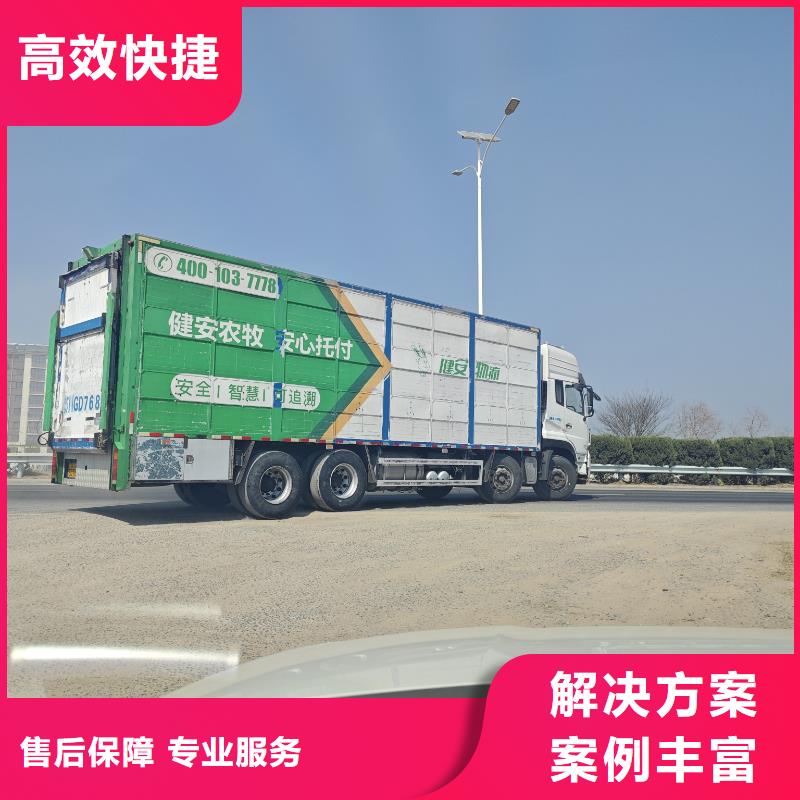 宿迁沭阳到猪运输网络广泛