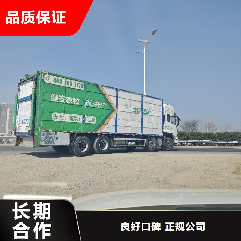 嘉兴至生猪物流网络广泛