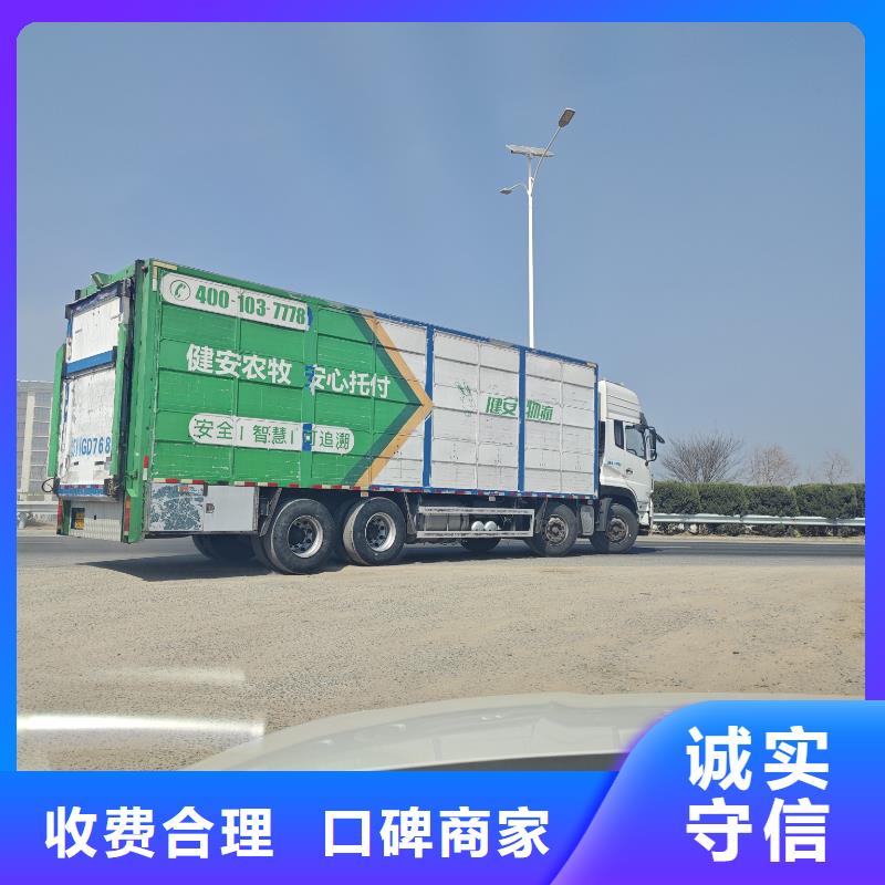 宿迁到猪运输行业领先