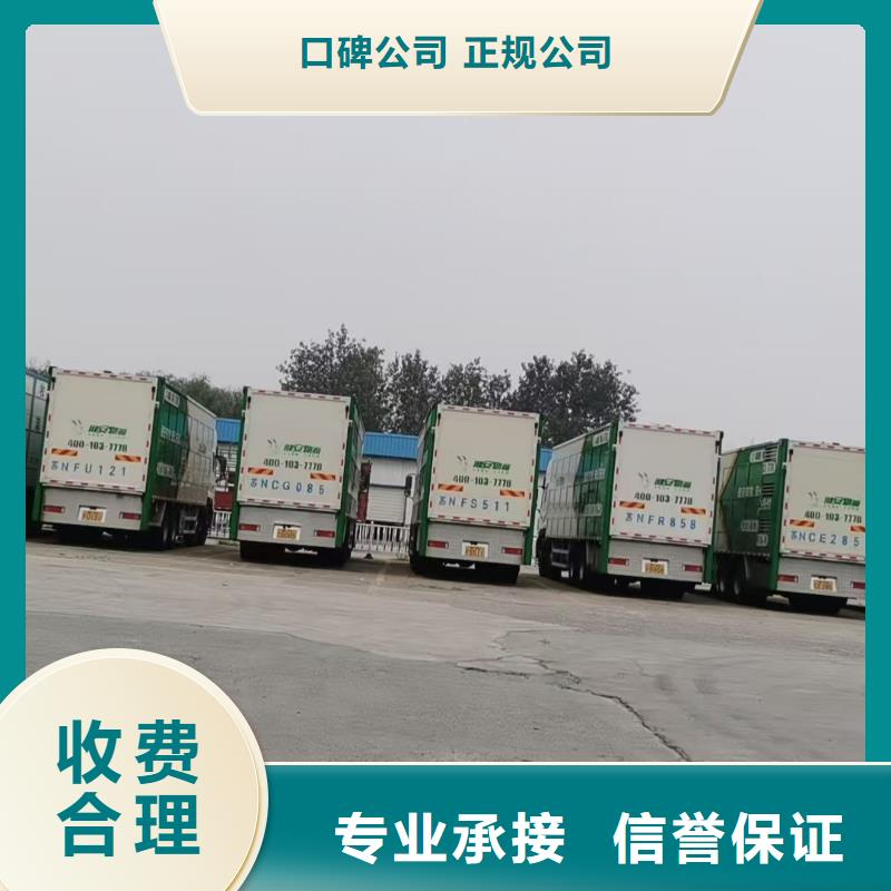 泗洪县至仔猪空调车运输安静舒适