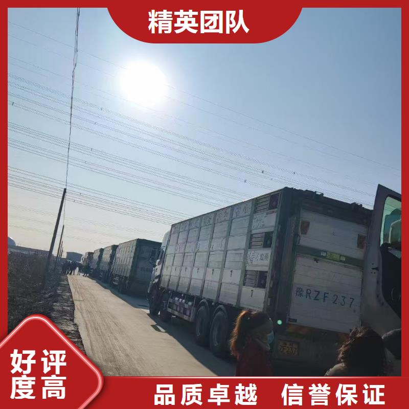 日照至肥猪运输空调车方便快捷