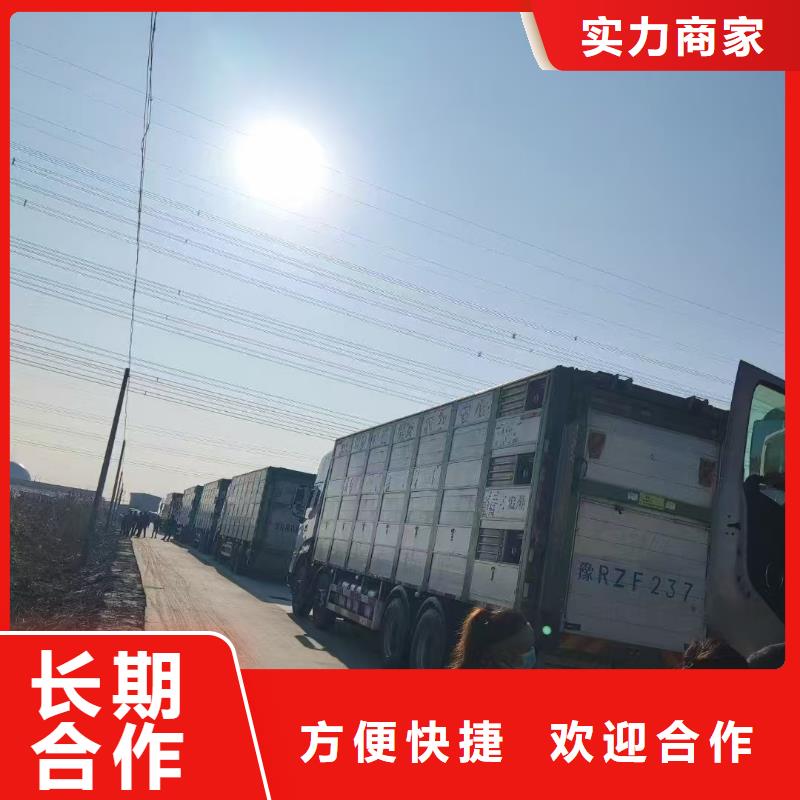 宿迁市沭阳到猪只运输专用车-恒温车好评度高