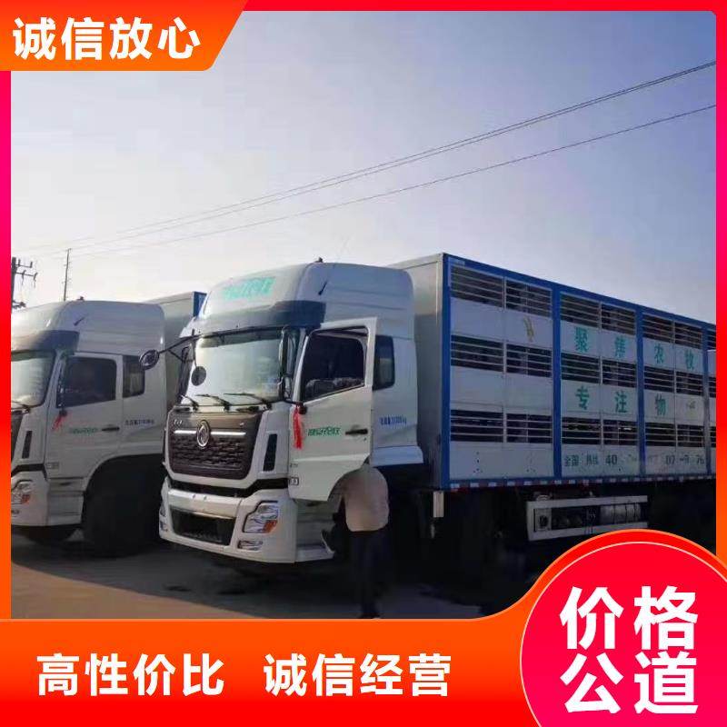 新乡至二育运输恒温车精英团队