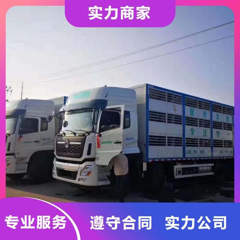 泗洪到畜禽物流-空调车实力商家