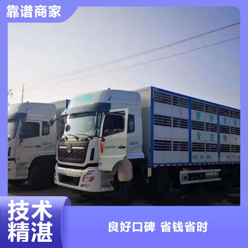 宿迁到猪运输行业领先