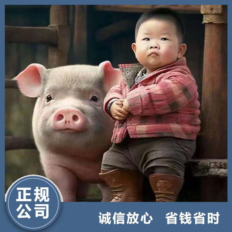 宿迁到散装料专用车无忧
