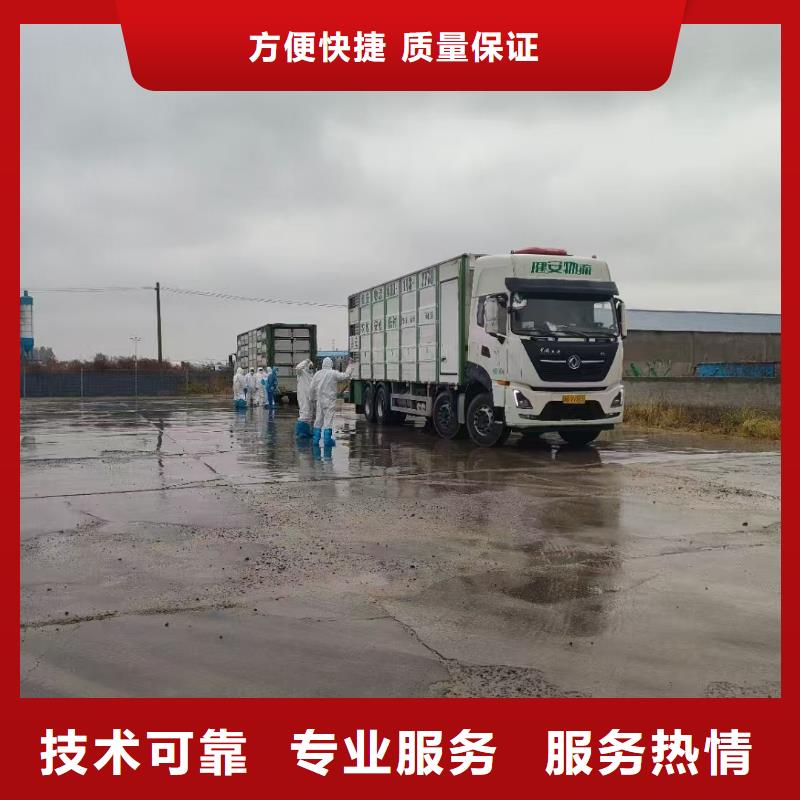日照至肥猪运输空调车方便快捷