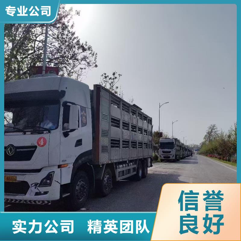 相城到猪牛羊运输空调车诚信放心