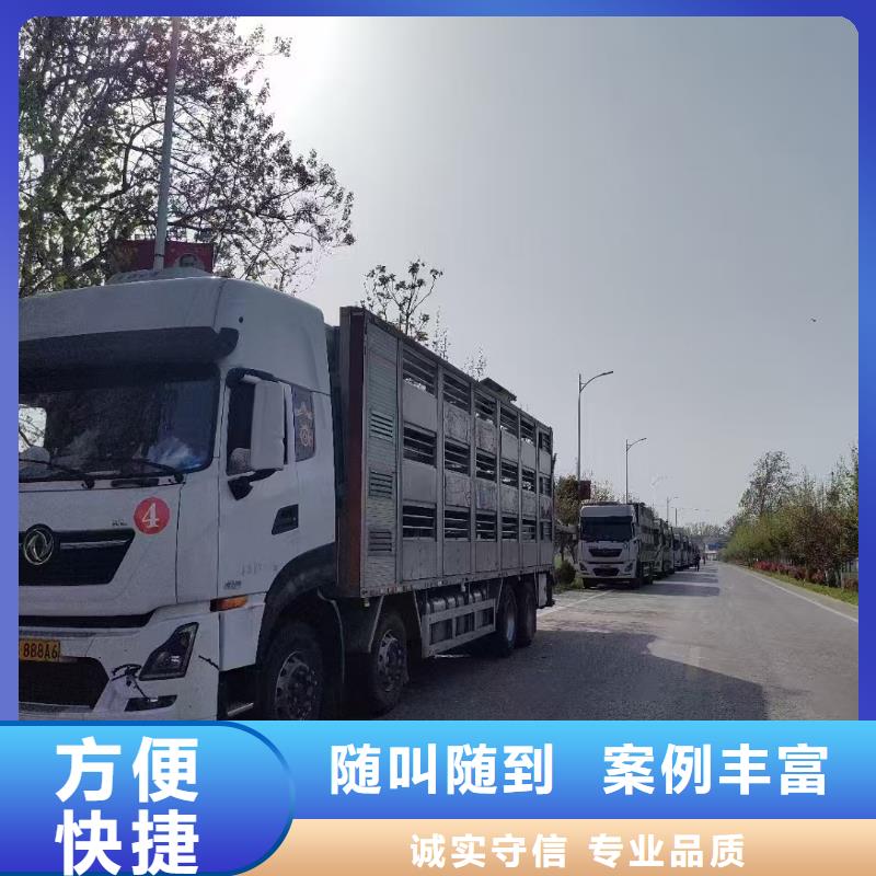 宿迁到农牧运输恒温车周到细致