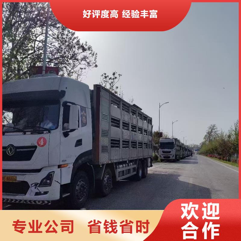 宿迁市沭阳到猪只运输专用车-恒温车好评度高
