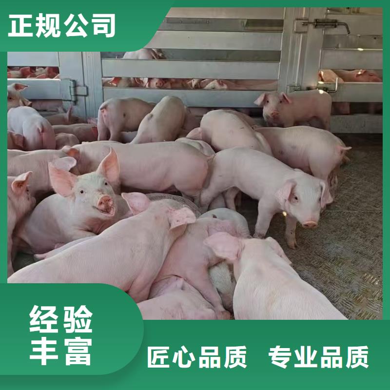 无锡到恒温车运输-空调车全程呵护