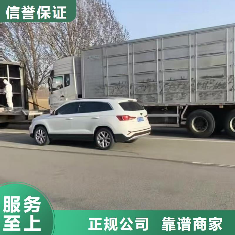 宿迁沭阳到猪运输网络广泛