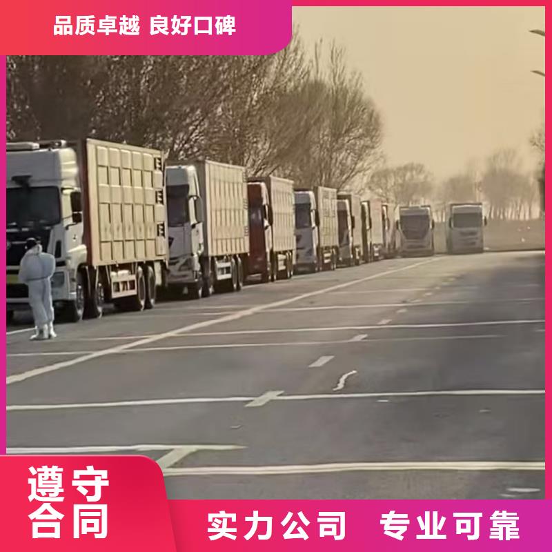 沭阳县至种猪运输恒温车注重质量
