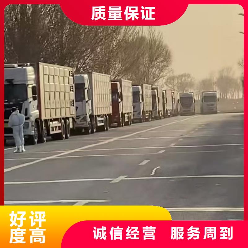 台州至仔猪运输空调车优质服务