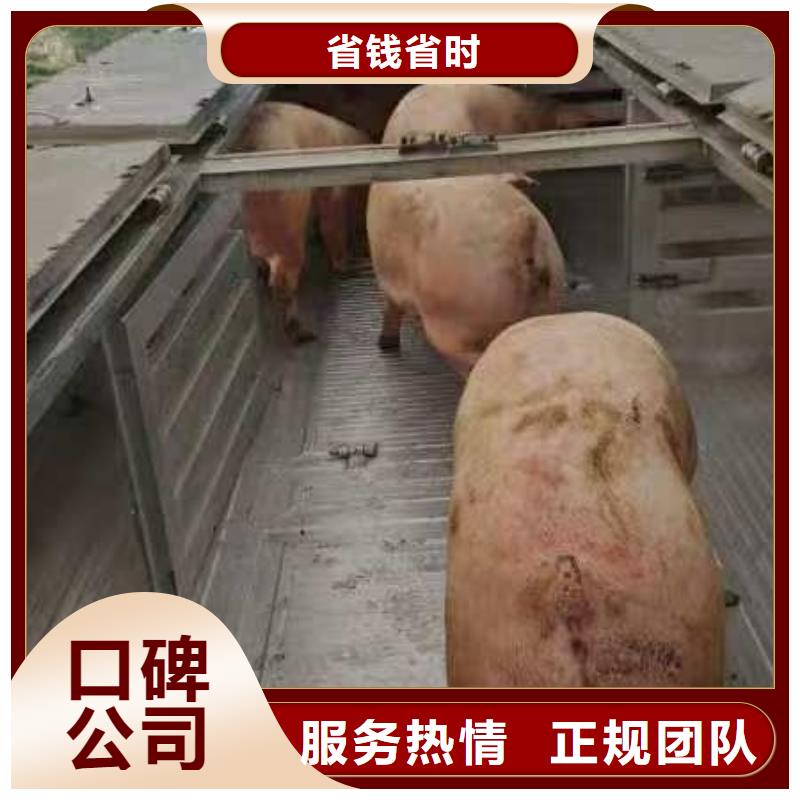 台州至仔猪运输空调车优质服务