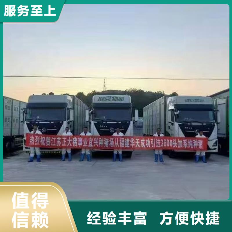 宿迁到猪只运输专用车耐心细致