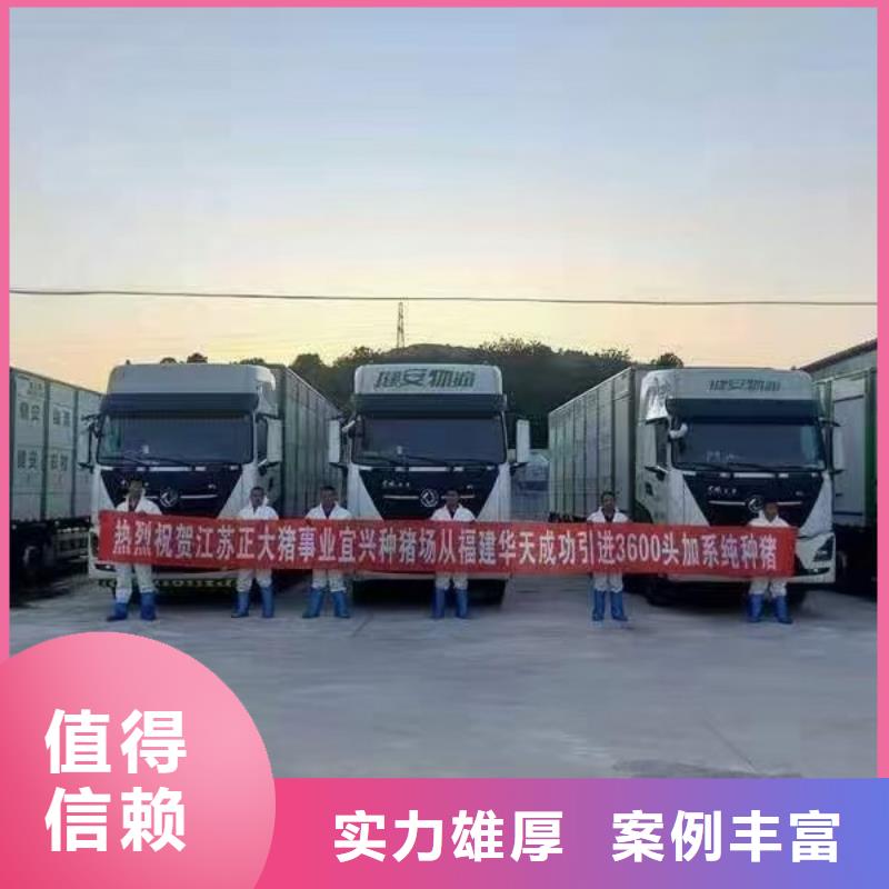 德州到生猪空调车运输无忧