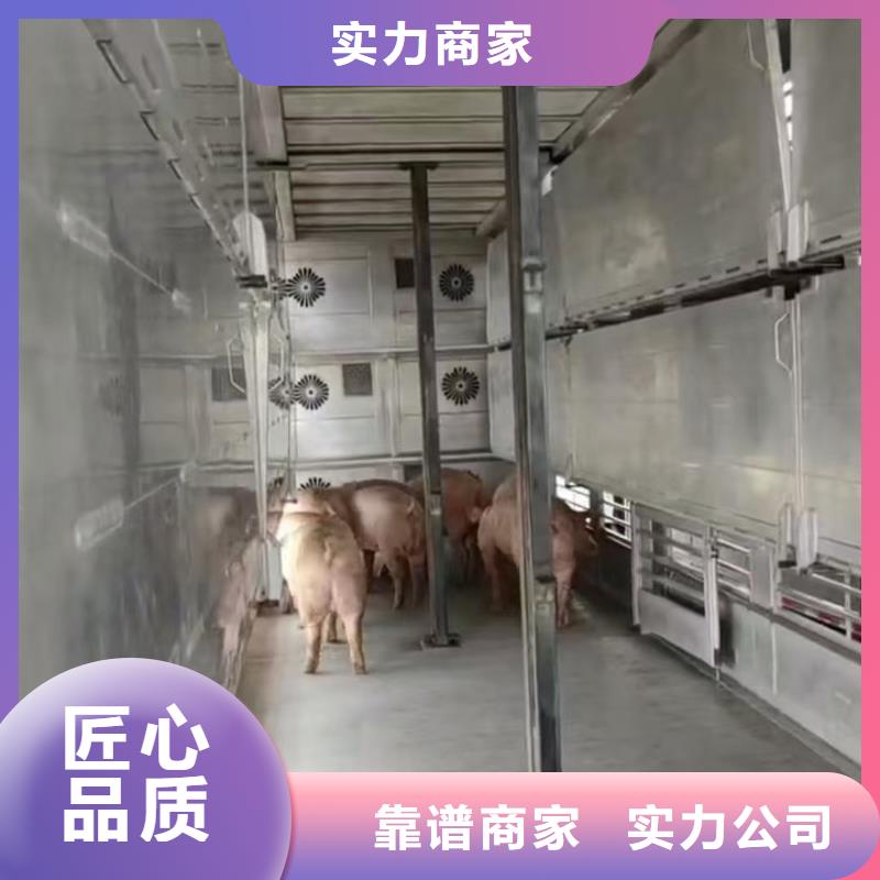 郑州至仔猪运输空调车专业可靠