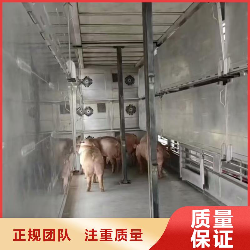 三门峡至仔猪运输恒温车多年经验