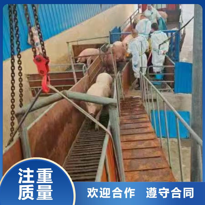 台州至仔猪运输空调车优质服务