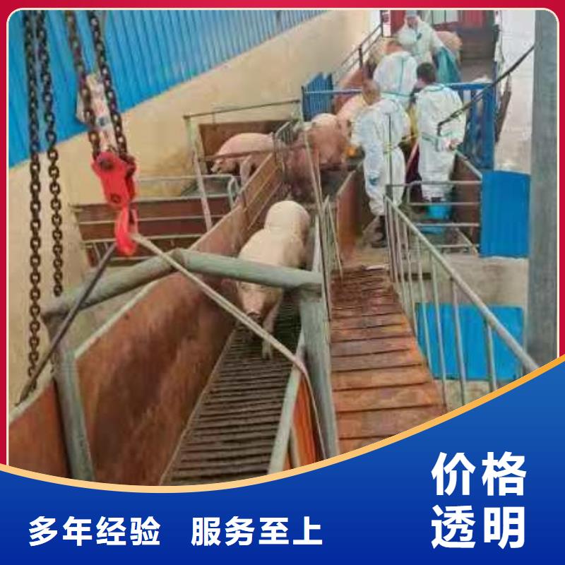 亳州到农牧运输空调车良好口碑