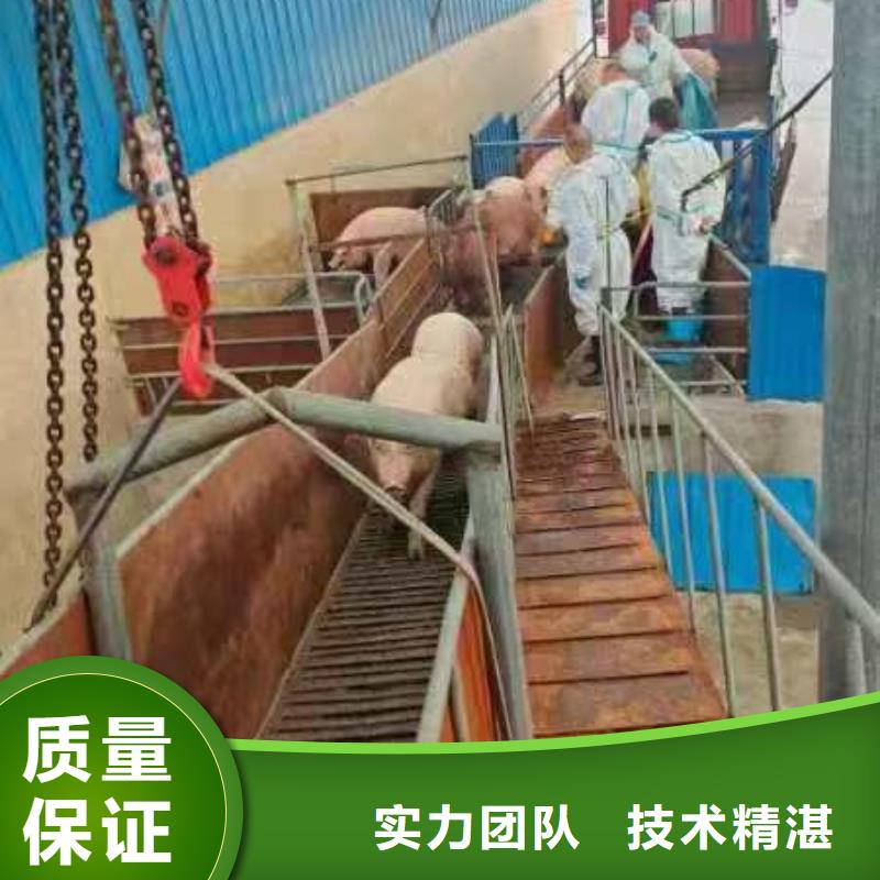 宿豫到活禽运输空调车专业服务