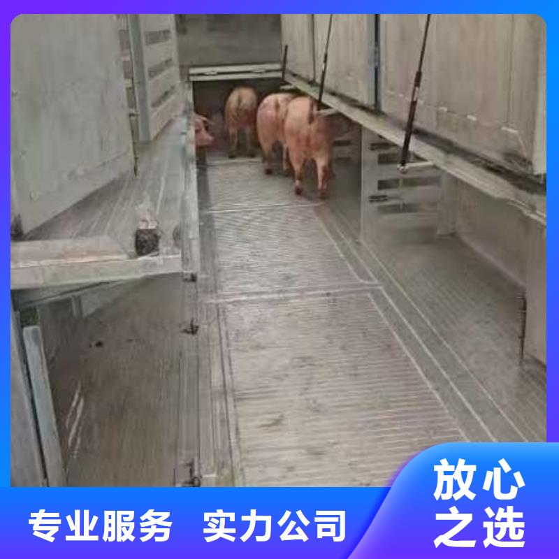 三门峡至仔猪运输恒温车多年经验