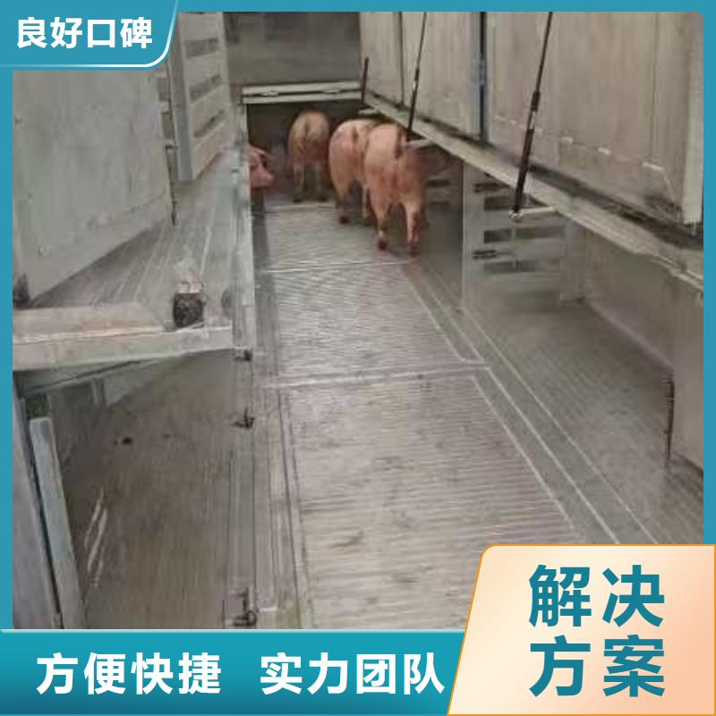 淮安至羊运输专用车有序顺畅