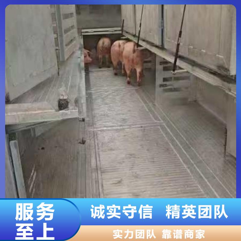 日照到牛运输专用车平稳