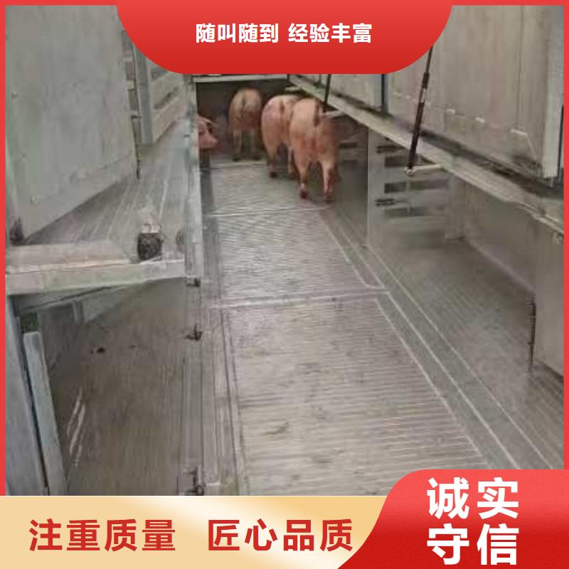 宿迁泗阳到羊运输顺畅