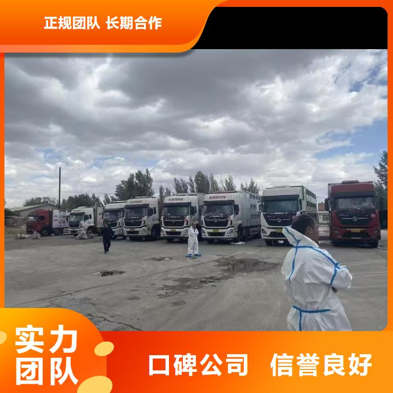 宿迁到猪牛羊运输空调车严格规范