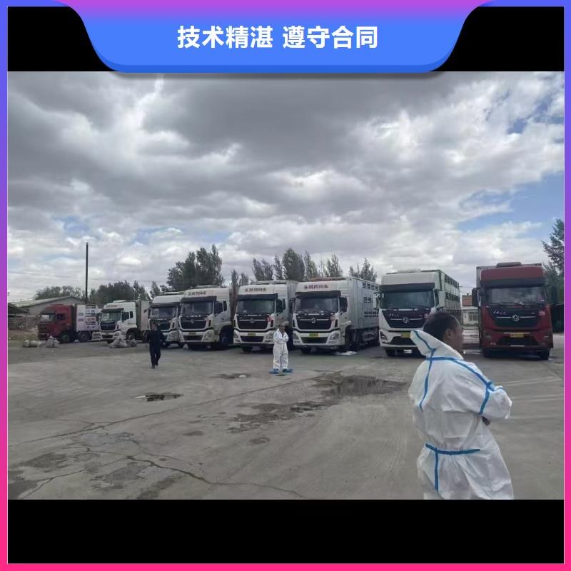 浙江到猪牛羊运输体系完善
