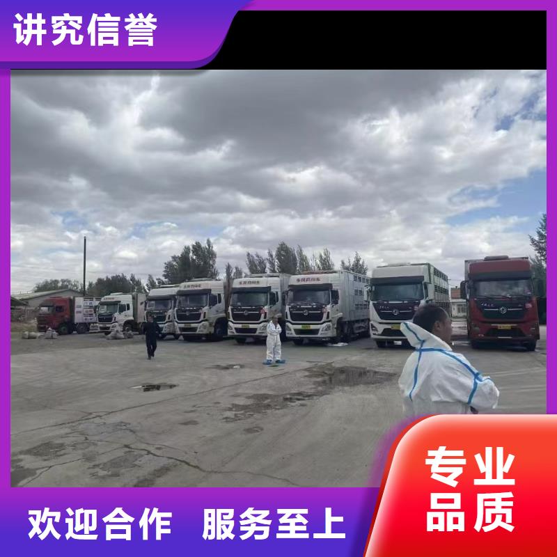 亳州到农牧运输空调车良好口碑