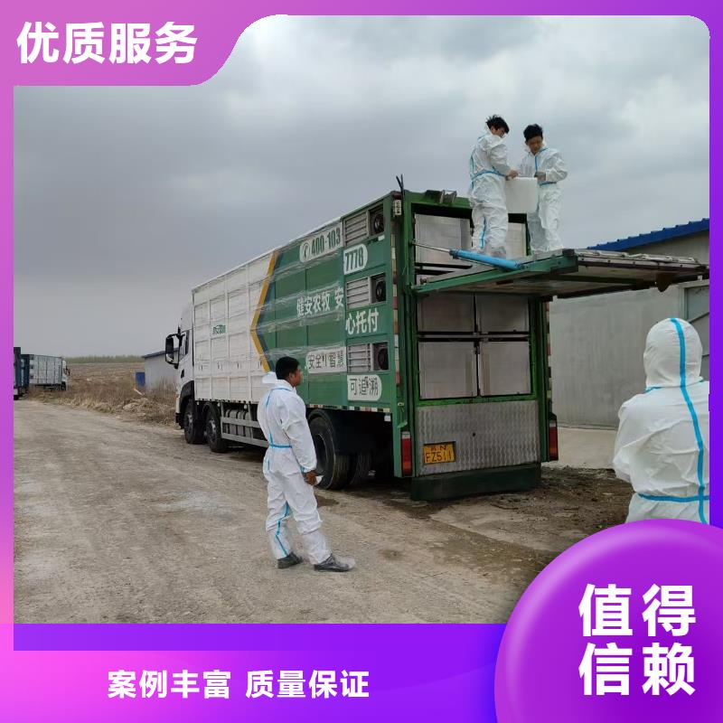 宿迁泗洪到生猪运输按时到达