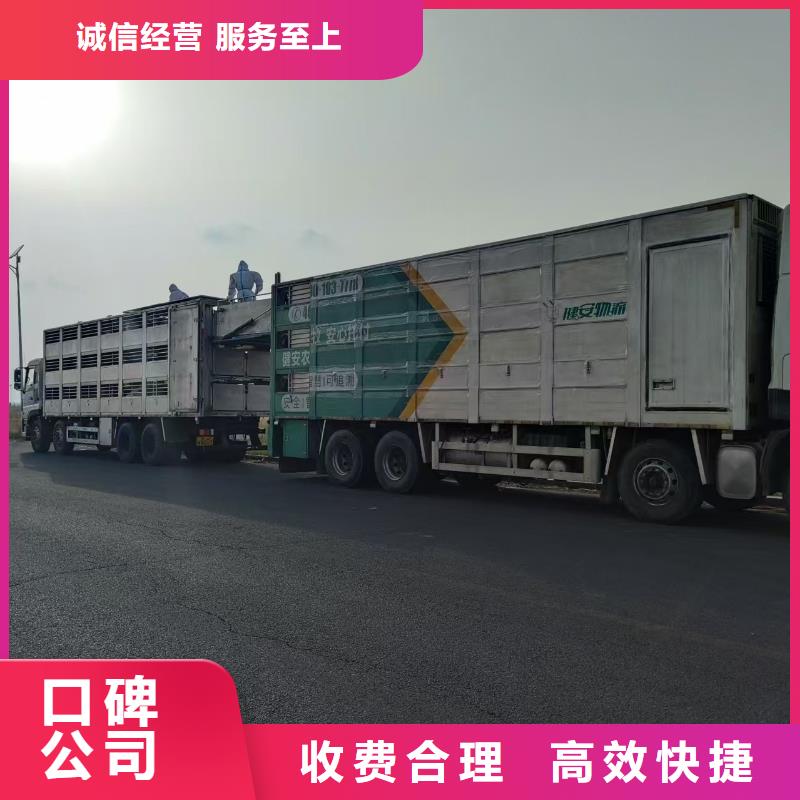 威海到生猪运输空调车经验丰富