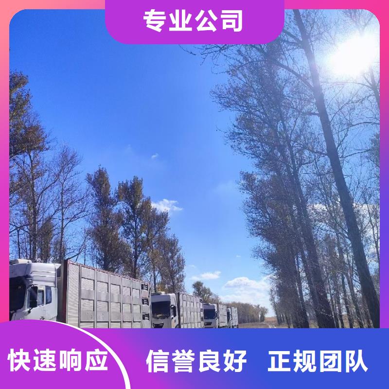 商丘至猪运输路线优化