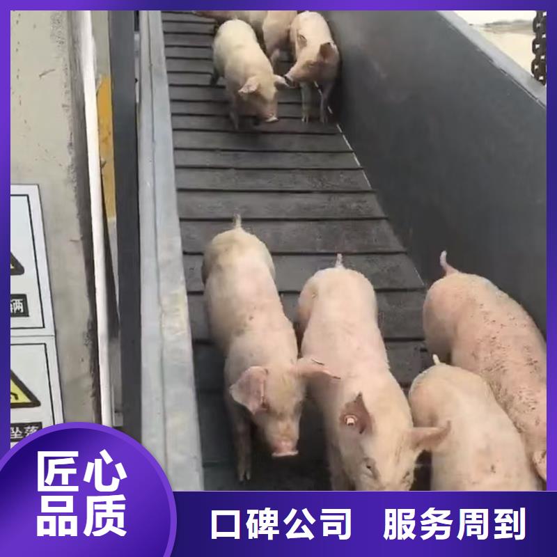 无锡到恒温车运输-空调车全程呵护
