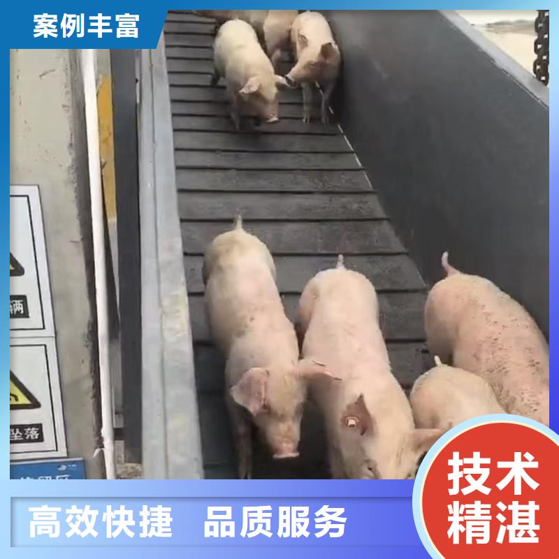 许昌至种猪运输恒温车服务周到