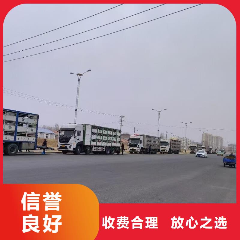 高港到二育运输恒温车口碑公司